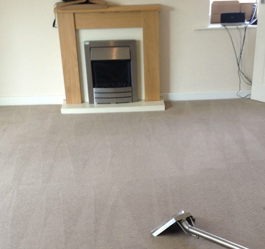BeforeAfter Best Carpet Cleaning and Pest Control